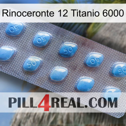 Rhino 12 Titanium 6000 viagra3